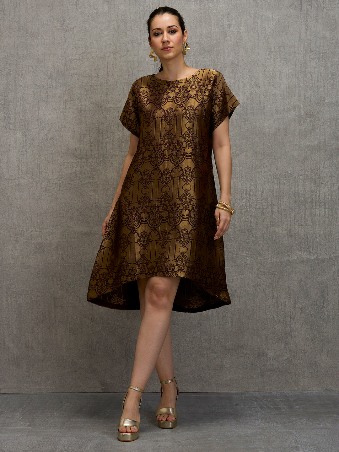 Brocade Ornamental Design Brown Dress